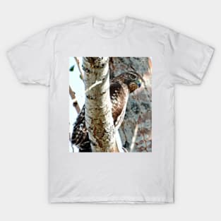 Red Tail Hawk T-Shirt